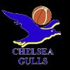 https://img.833zhiboo.com.cn/img/basketball/team/0d36b73786230e17d7d718ab10adab87.png