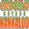 https://img.833zhiboo.com.cn/img/basketball/team/8f4f7a4d7dffd7785640d9ce2d429aa8.png