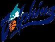 https://img.833zhiboo.com.cn/img/basketball/team/b49d4e6c00b446698132550f3e3c2c50.png
