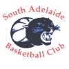 https://img.833zhiboo.com.cn/img/basketball/team/b7aa826f862441c88014378260f72754.jpg