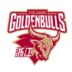 https://img.833zhiboo.com.cn/img/basketball/team/d1d77f07287fe840a7e77459e5bd1bfc.png