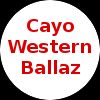 https://img.833zhiboo.com.cn/img/basketball/team/f9030708ce294e999d51fe25f2faf591.png