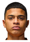 https://img.833zhiboo.com.cn/img/football/player/0705558ab3118779b491e48b13718d02.png