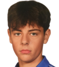 https://img.833zhiboo.com.cn/img/football/player/085143acca82acaa9854fe2485376d5e.png