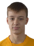 https://img.833zhiboo.com.cn/img/football/player/12f09bbfdcf6c86a703655091c38d646.png