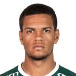 https://img.833zhiboo.com.cn/img/football/player/1495e63fc811824f02fd7fba9d254b1f.png