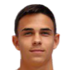 https://img.833zhiboo.com.cn/img/football/player/68d2850119c660750ace368aca9c78ba.png