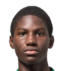 https://img.833zhiboo.com.cn/img/football/player/a4e3f6d0fd933ea19373b2fcd7abccd2.png