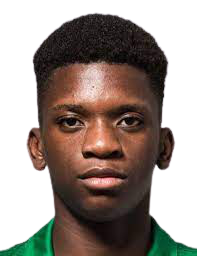 https://img.833zhiboo.com.cn/img/football/player/d12c801df7dd3513ce27f2b57bfc8357.png