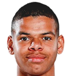 https://img.833zhiboo.com.cn/img/football/player/ddb62e89f30b23928fc1e94f52f98a33.png