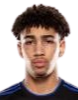 https://img.833zhiboo.com.cn/img/football/player/fb7fd3390bdc25307ce54843fe6472dd.png