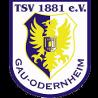 https://img.833zhiboo.com.cn/img/football/team/0425718c842cc1330a6507bdde3c1da4.png