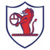 https://img.833zhiboo.com.cn/img/football/team/11fb72f7b5eacfc881ee11bac75871fa.png