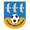 https://img.833zhiboo.com.cn/img/football/team/259a1106a33b56d2bb3c458a62ffa2ea.png