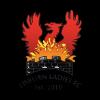 https://img.833zhiboo.com.cn/img/football/team/6df09bff98f2d268a6e16f39ef61804d.png