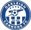 https://img.833zhiboo.com.cn/img/football/team/c57774951b3b354cd3d1e0237087a661.png