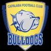 https://img.833zhiboo.com.cn/img/football/team/da8bfcabb427caa8c01fbb244a1f77aa.png