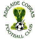 https://img.833zhiboo.com.cn/img/football/team/f075ae724a0ea982e4f09f003990a0e7.png